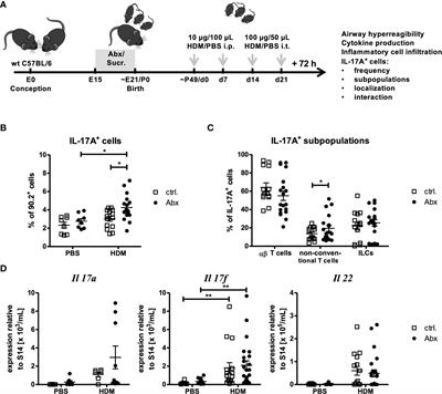 Prenatal antibiotics exposure does not influence experimental allergic asthma in mice